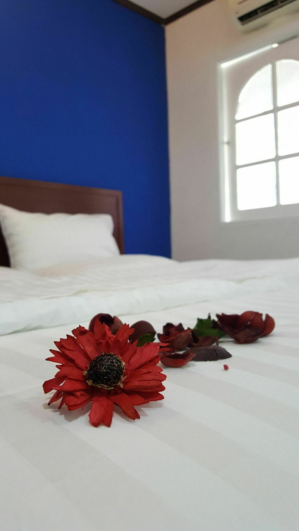 Mr.Sea In Bangkok Hostel Εξωτερικό φωτογραφία