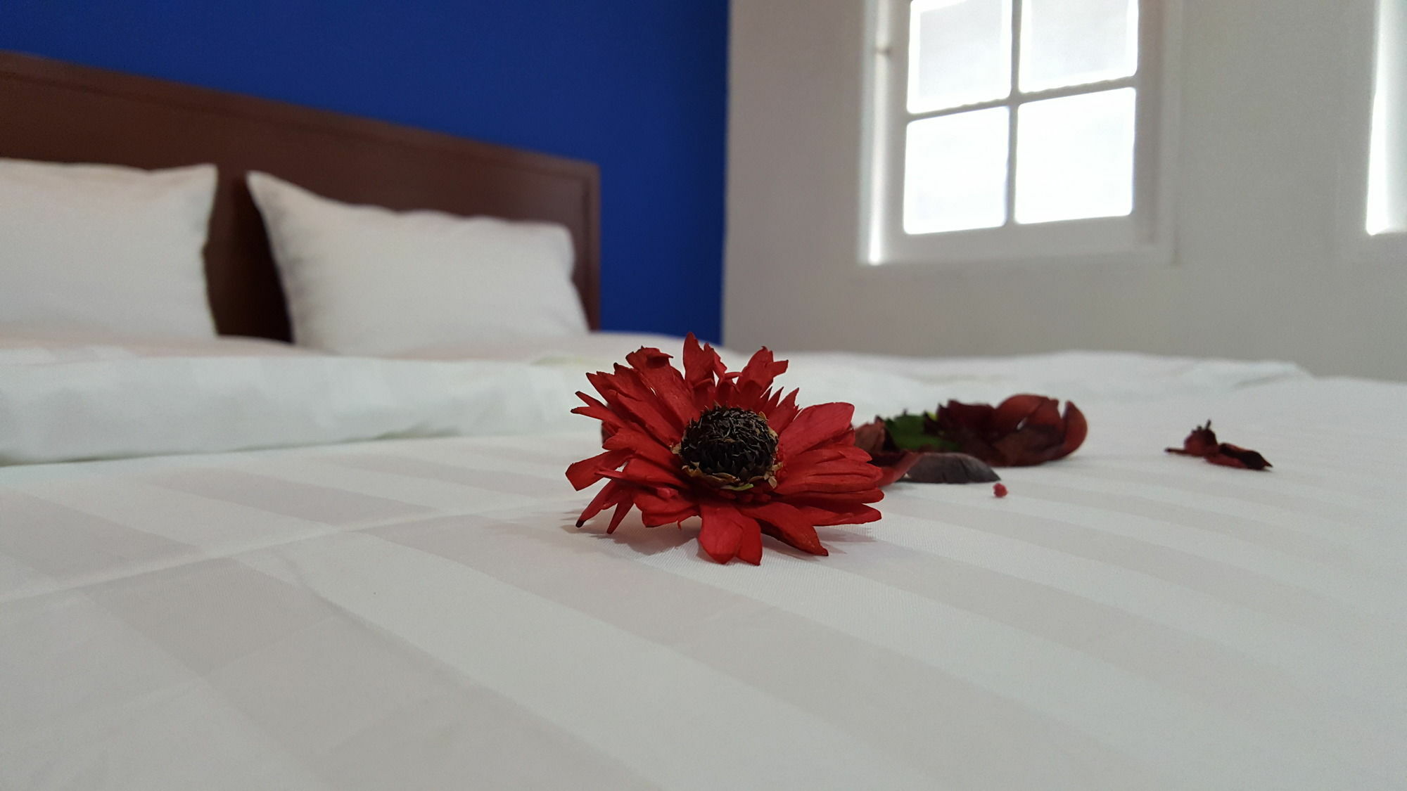 Mr.Sea In Bangkok Hostel Εξωτερικό φωτογραφία