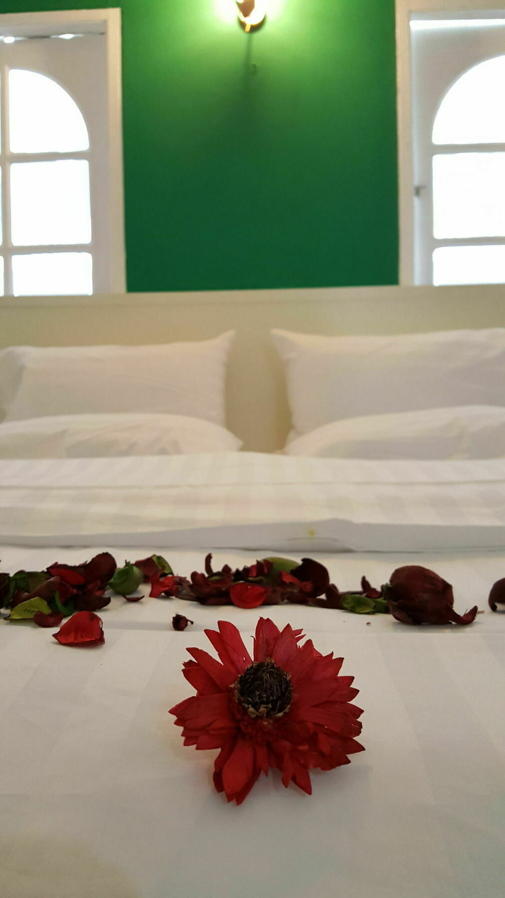 Mr.Sea In Bangkok Hostel Εξωτερικό φωτογραφία