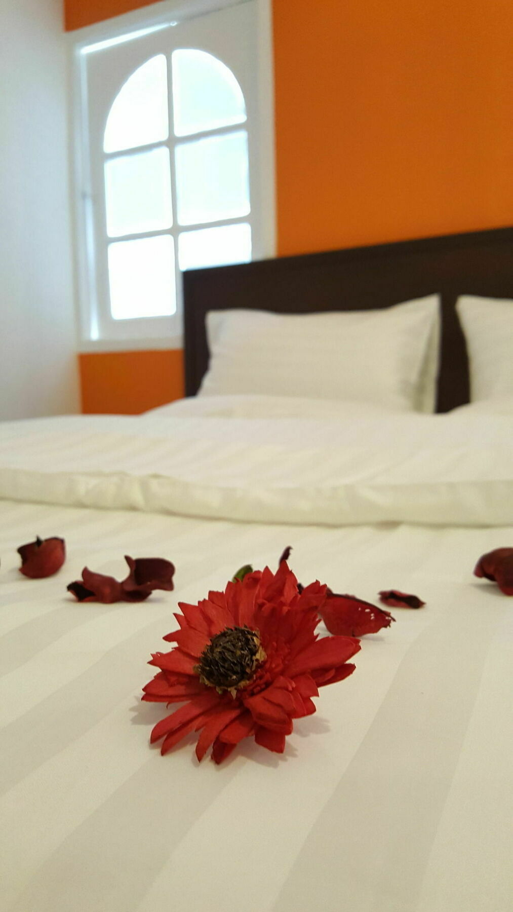 Mr.Sea In Bangkok Hostel Εξωτερικό φωτογραφία