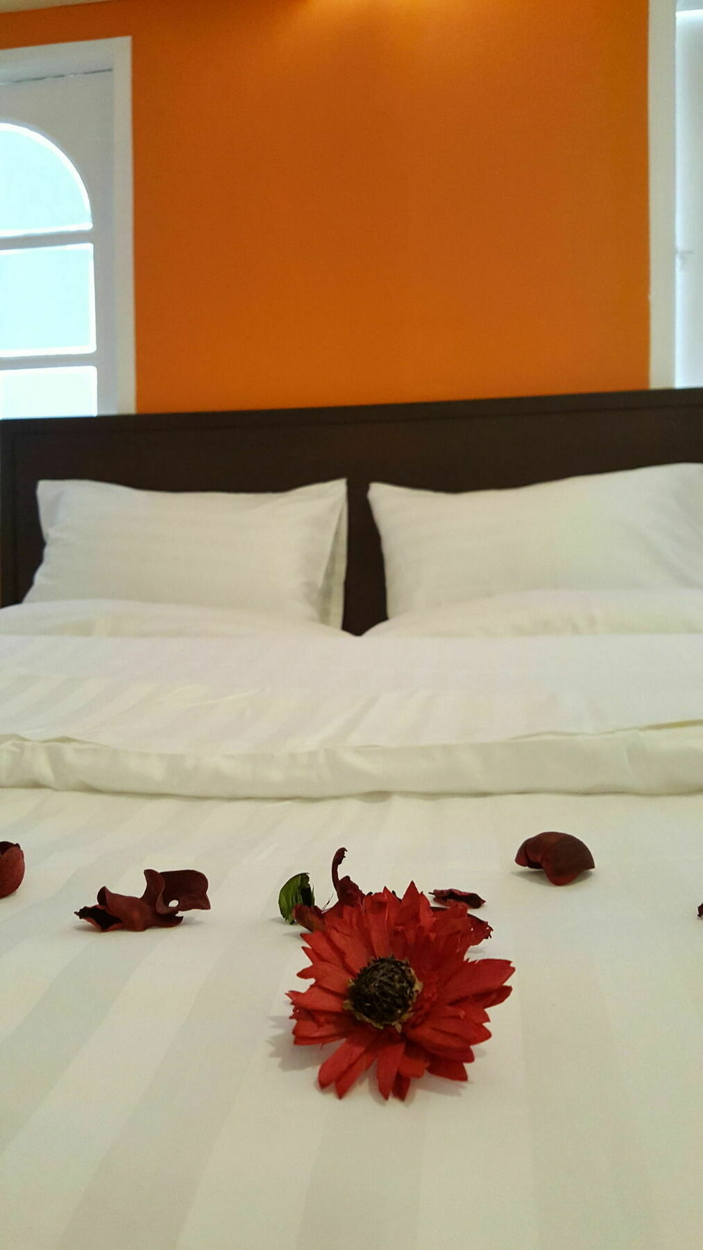 Mr.Sea In Bangkok Hostel Εξωτερικό φωτογραφία